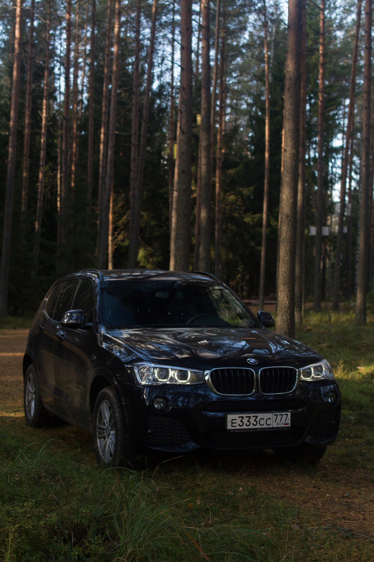 25 х 5. BMW f25. БМВ х3 f25. BMW x3 f25. BMW x3 III.