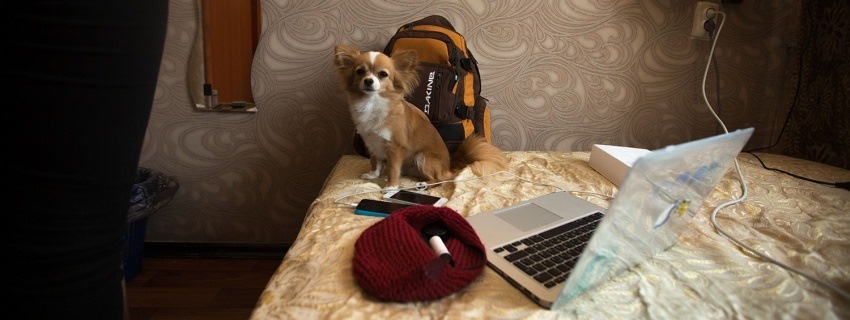 День #7. СМОЛЕНСК — МОСКВА: ДЕНЬ СВЯТОГО ВАЛЕНТИНА В ИЮНЕ — Lada Калина ...