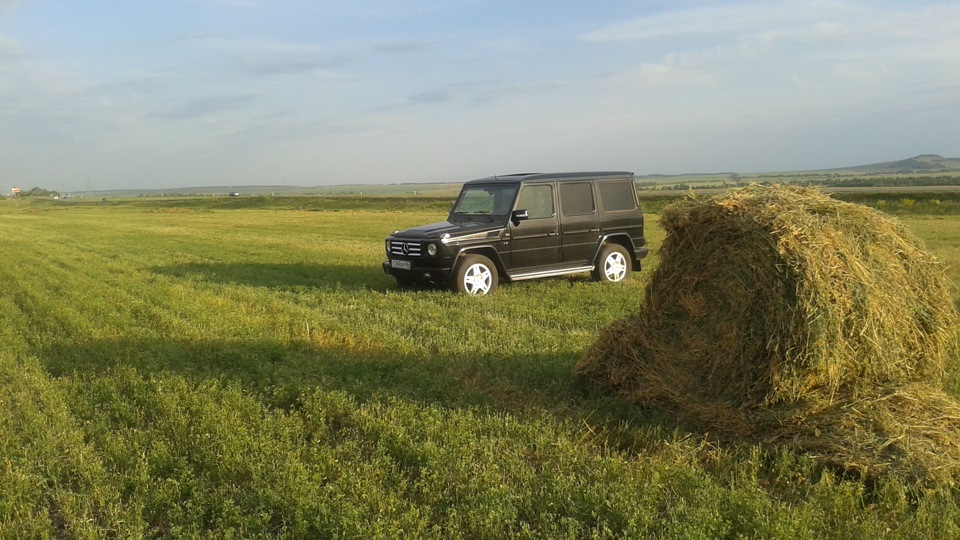 mercedes-benz-g-class-w463-5-0-2000-v8-5-0-drive2