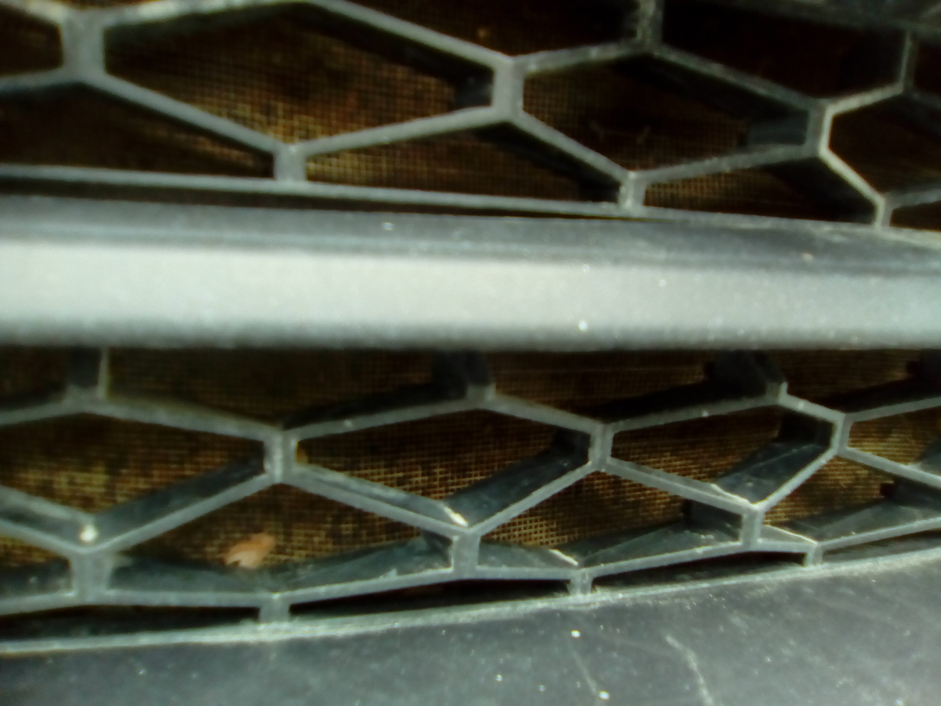 Сетка на решётку радиатора — Lada Vesta (1G), 1,6 л, 2016 года ...