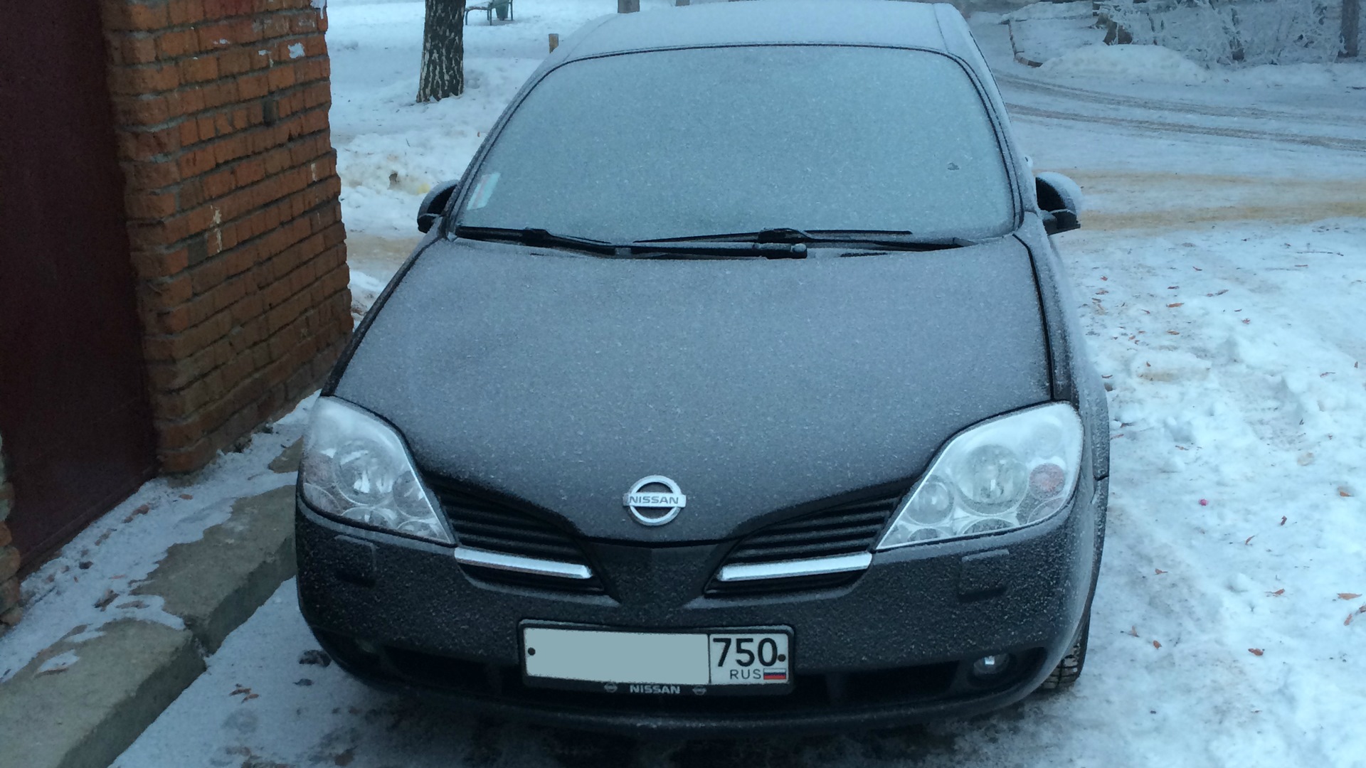 Nissan Primera (P12) 1.6 бензиновый 2006 на DRIVE2