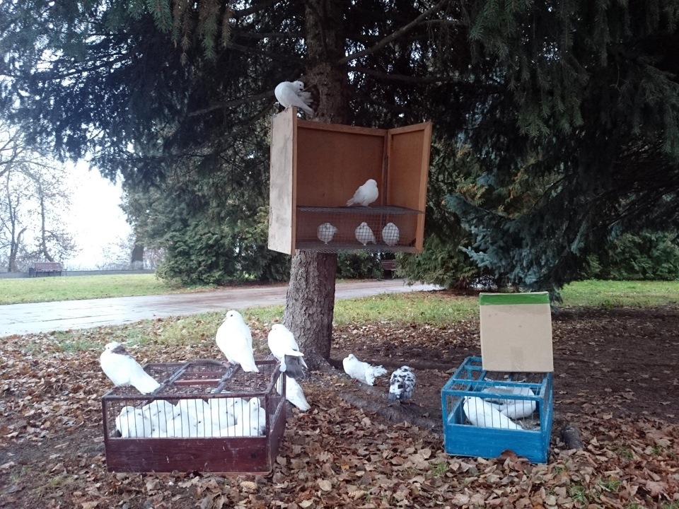 покровский собор в брянске. b96de3as 960. покровский собор в брянске фото. покровский собор в брянске-b96de3as 960. картинка покровский собор в брянске. картинка b96de3as 960. покровский собор в брянске. b96de3as 960. покровский собор в брянске фото. покровский собор в брянске-b96de3as 960. картинка покровский собор в брянске. картинка b96de3as 960.