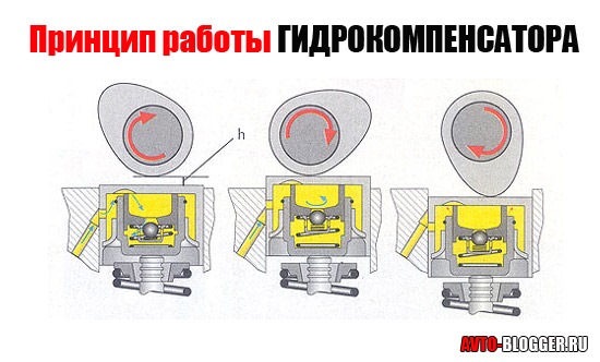 Как разобрать гидрокомпенсатор ваз 2112 16 клапанов альтернатива гидрикам на 406м - ГАЗ Газель, 2006 года другое DRIVE2