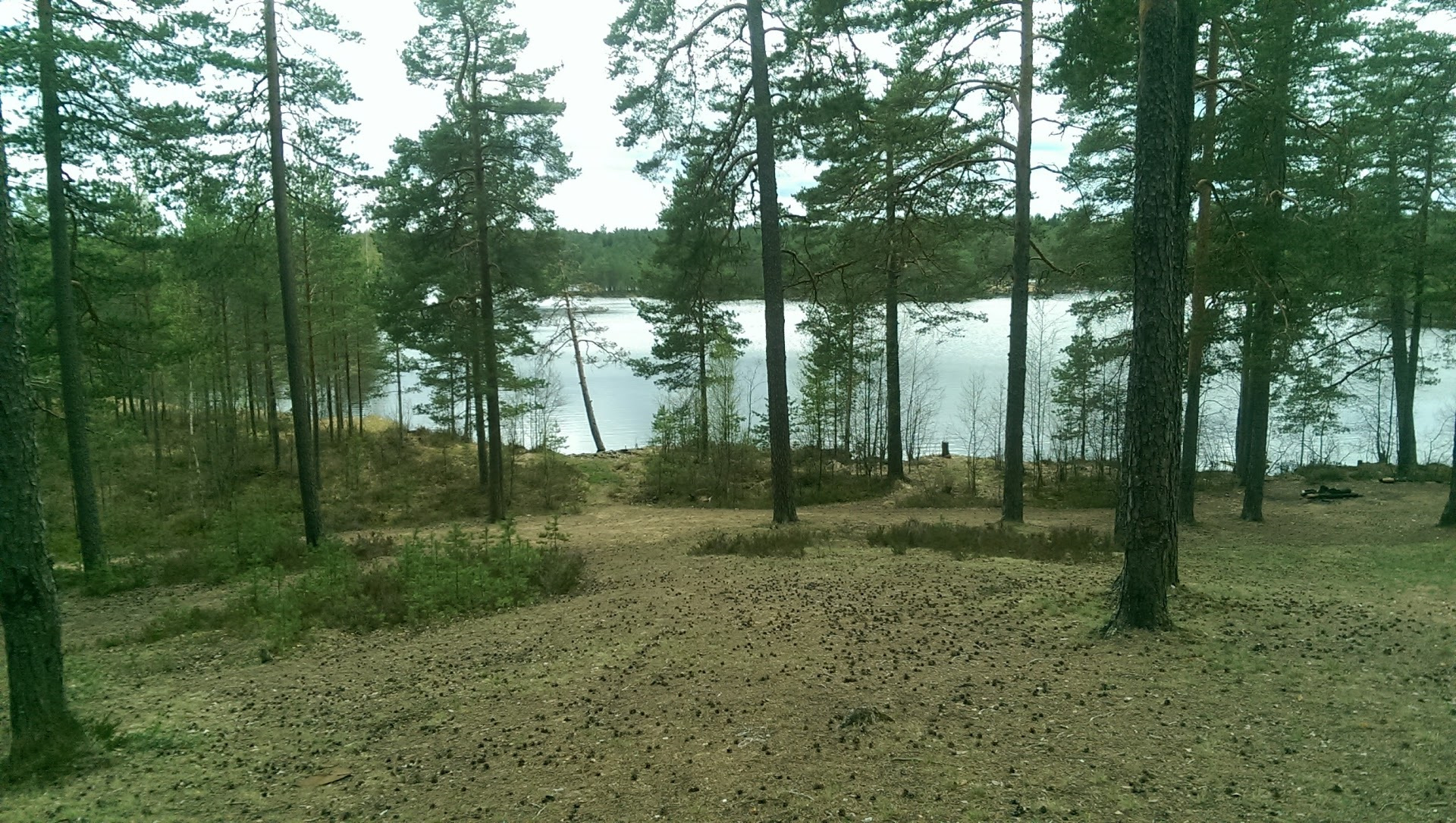 Погода на неделю в орехово ленинградской области. Озеро фигурное Орехово. Озера Орехово ЛЕНОБЛАСТЬ. Озеро Верхолино. Озеро Нажицы Орехово-Зуево.