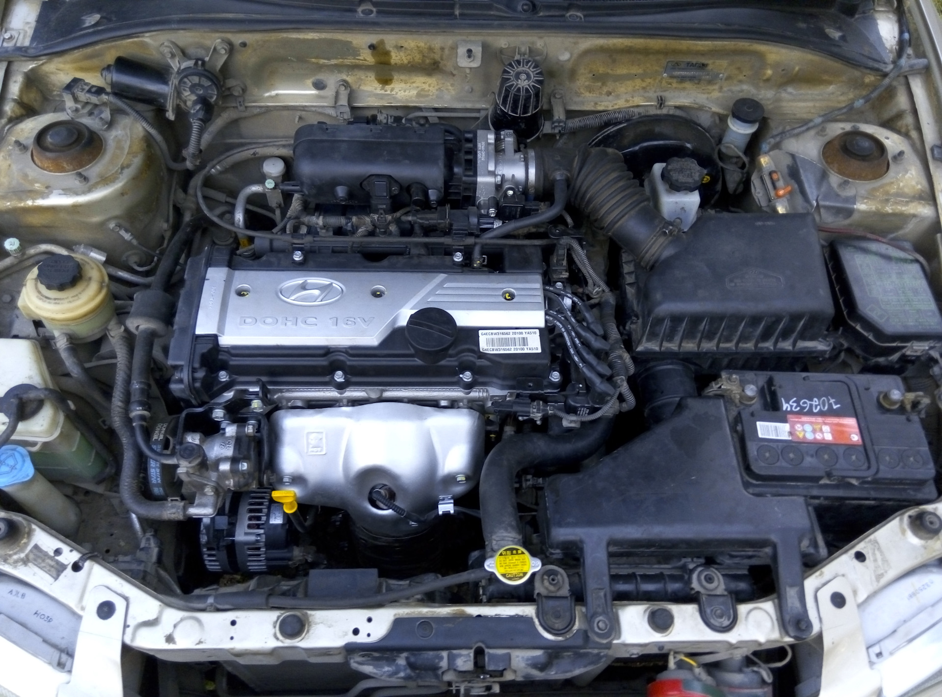 Какой двигатель на акценте. Двигатель Хендай акцент. Двигатель Хендай акцент 1 и 2 в. Двигатель Хендай акцент 1.6. Hyundai Accent 2006 двигатель.