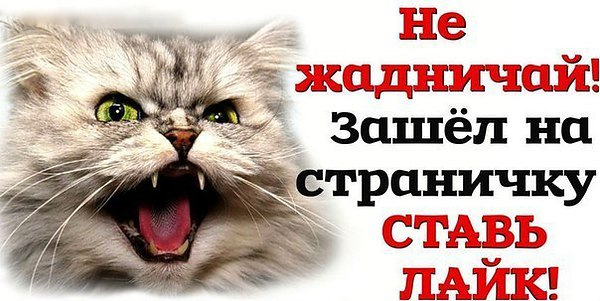 Спрашка моя страничка