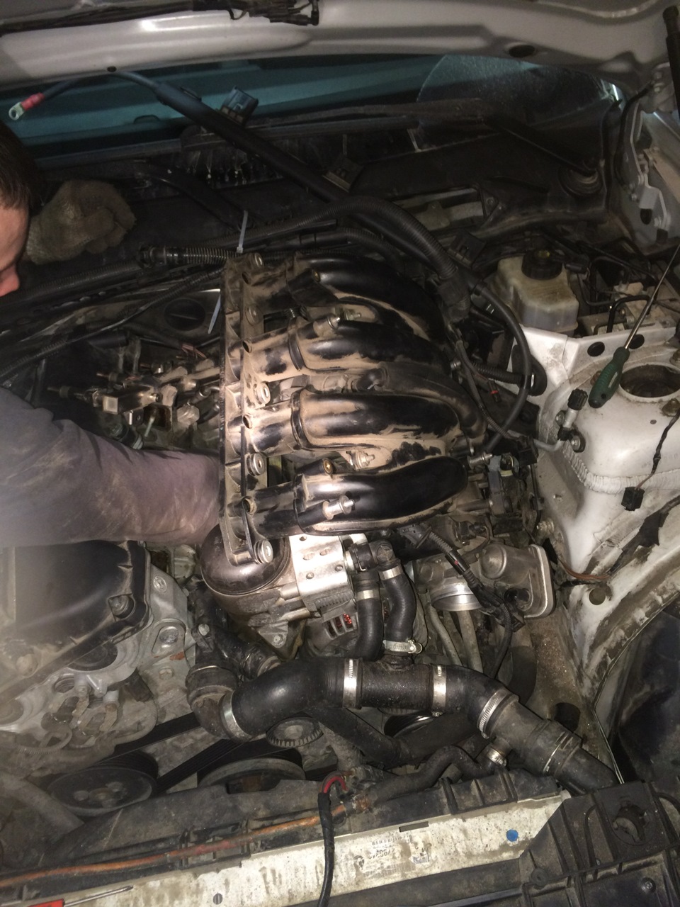 Фото в бортжурнале BMW 1 series (E81/E87)