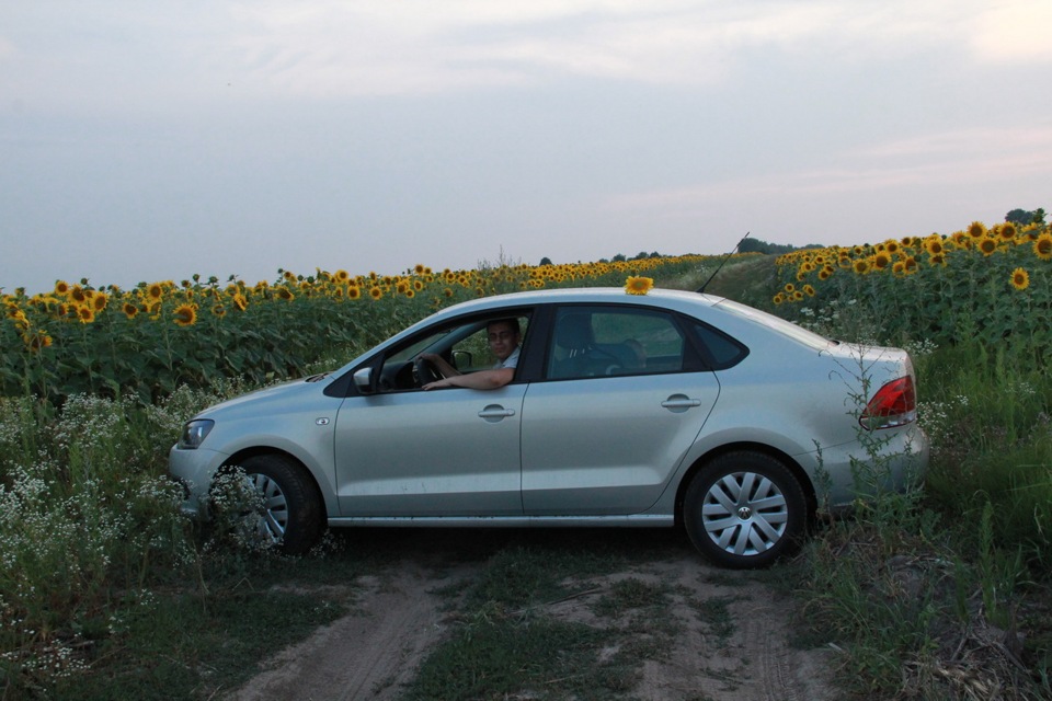 VW Polo 2011 Silver Leaf