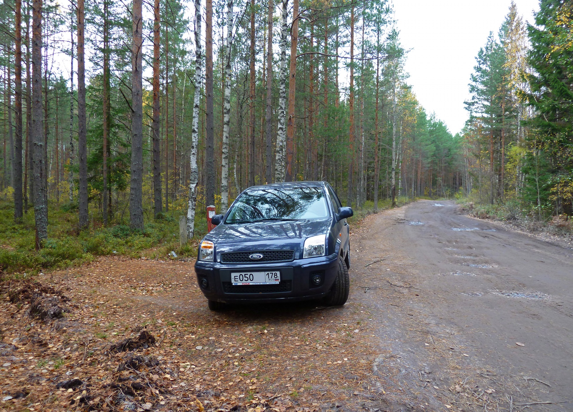 Лесная прогулка 8.10.2011 (UPD: +видео!) — Ford Fusion, 1,6 л, 2011 года |  путешествие | DRIVE2