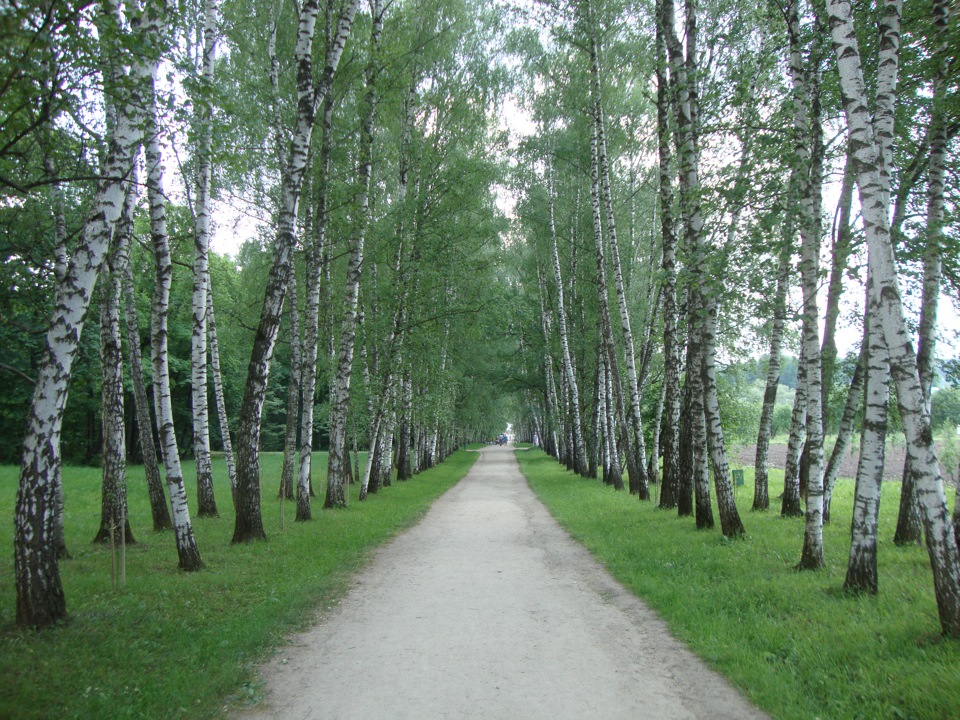 лиаз 6213. березовая аллея 17к2. аллея славы липецк. аллея березовая, вл. автобус мгт.