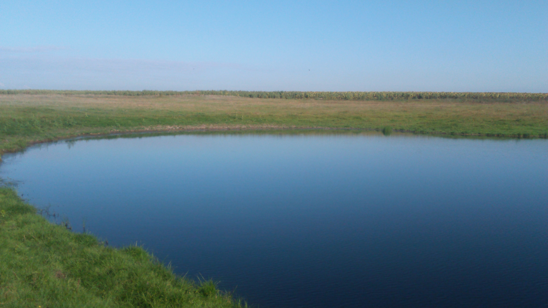 озеро немереж петропавловский район фото