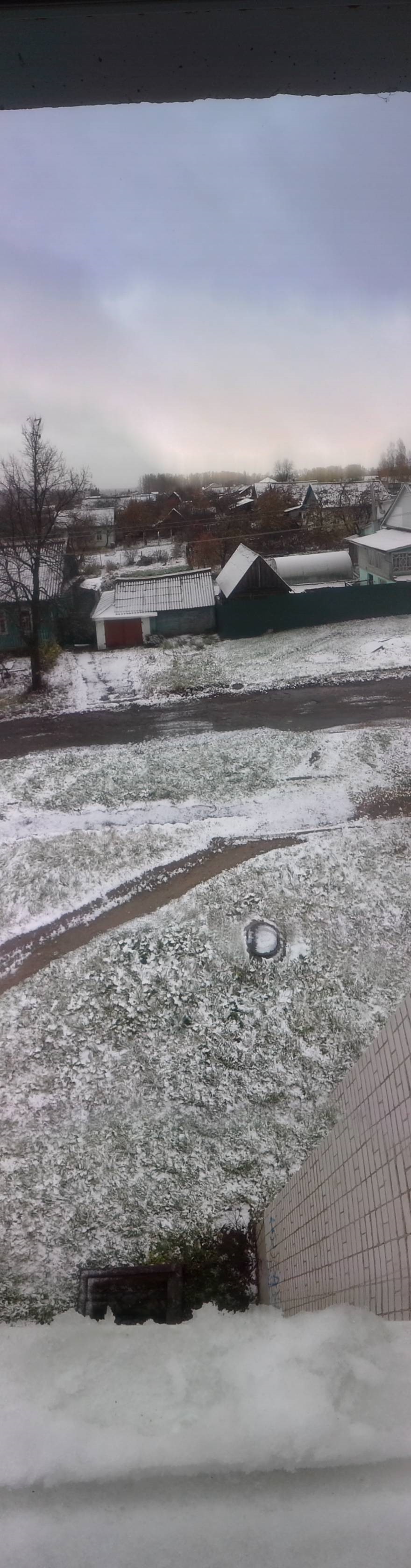 На дворе трава, на траве дрова, вся братва в дрова…/На дворе …метет ...