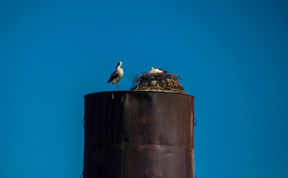 Фото в бортжурнале Jeep Cherokee (XJ)