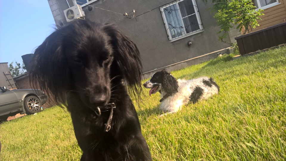 Фото в бортжурнале Audi 100 (C4)