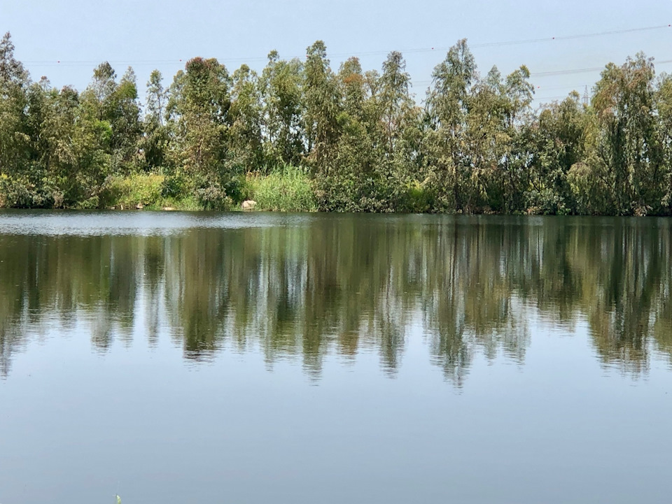 Фото в бортжурнале Suzuki Jimny (1G)