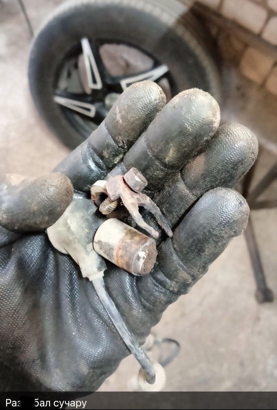 Фото в бортжурнале Chevrolet Aveo Sedan (1G)