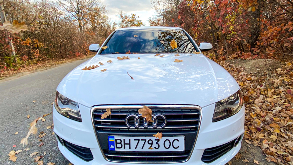 Цокающий звук при работе двигателя — Audi A4 (B8), 2 л, 2012 года ...