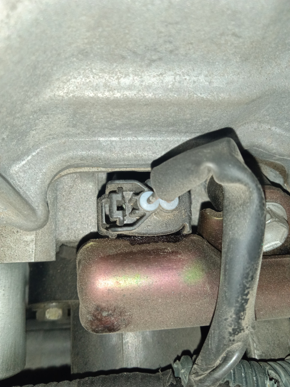 6. Запах бензина из-под капота — Toyota Wish (AE10), 1,8 л., 2003 года ...