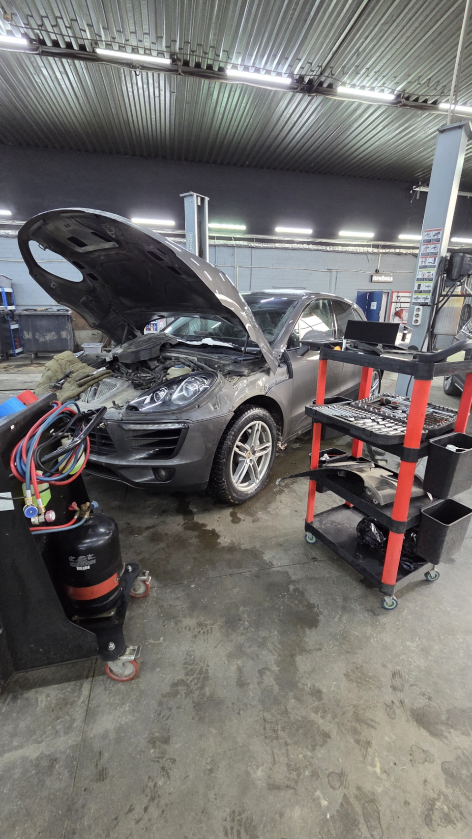 Фото в бортжурнале Porsche Macan (1G)