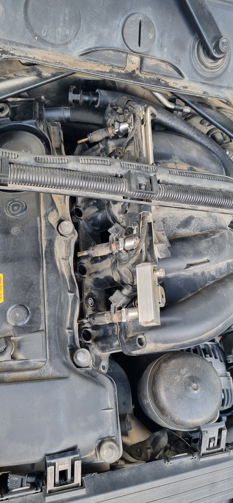 Фото в бортжурнале BMW 1 series (E81/E87)