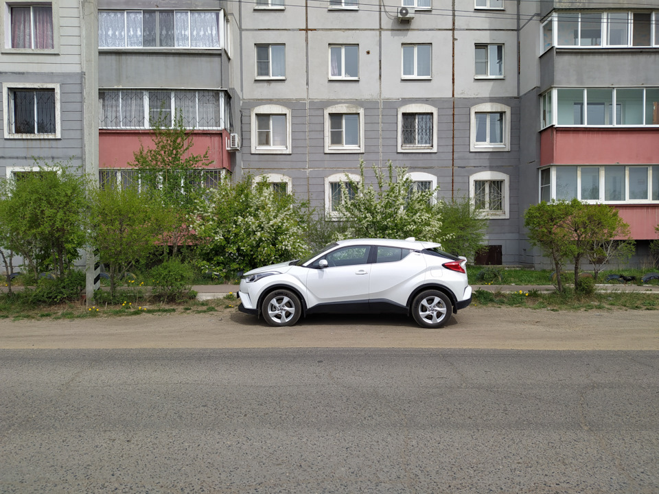 Фото в бортжурнале Toyota C-HR