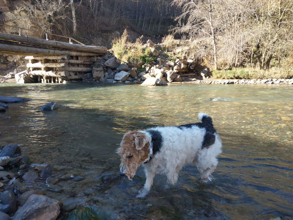 Водопой — Mitsubishi Pajero (4G)