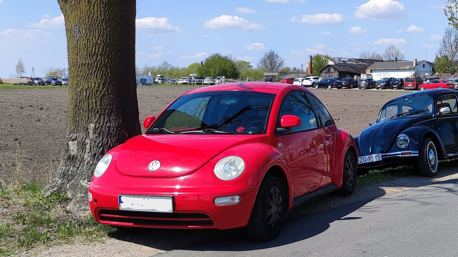 Volkswagen New Beetle 2.0 бензиновый 1999 | на DRIVE2