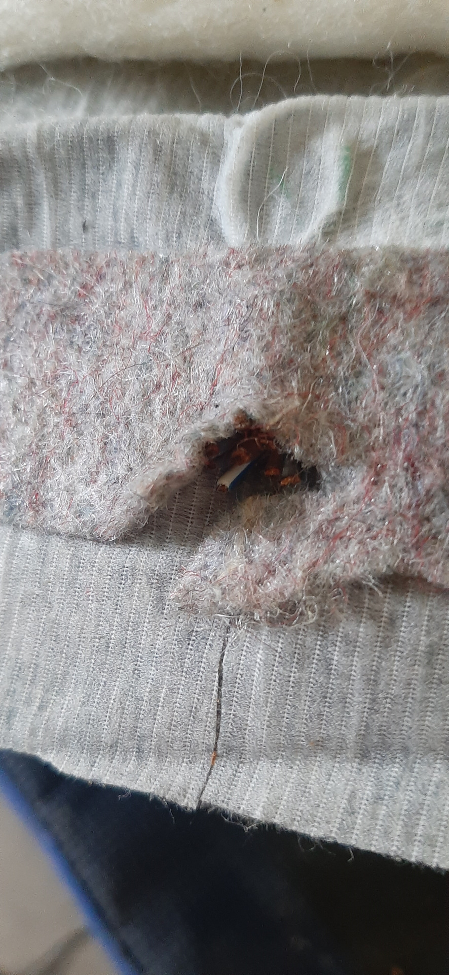 Комфорт салон.химчистка — BMW 5 series (E60), 2 л, 2006 года ...