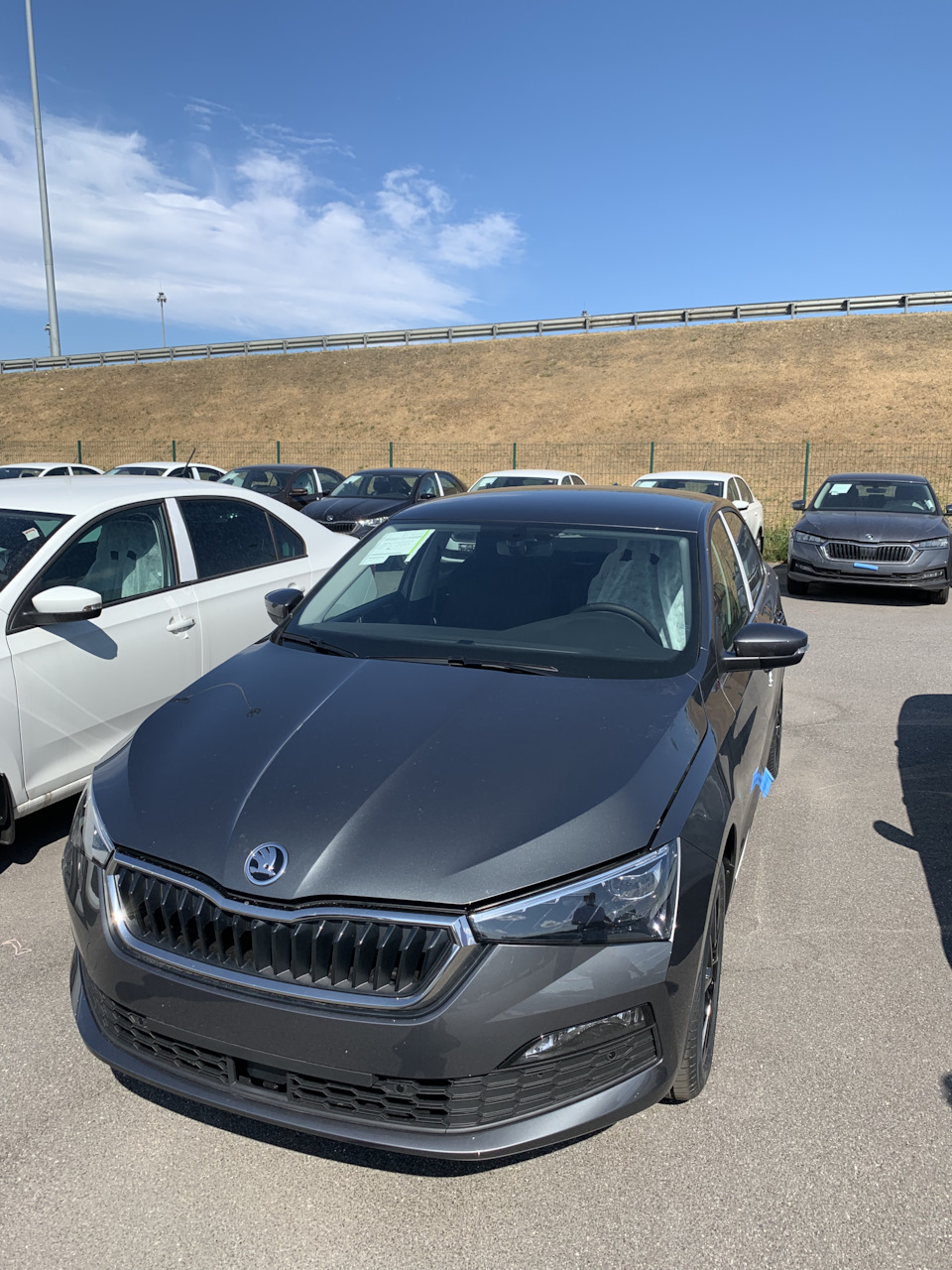 Приехала — Skoda Rapid (2G), 1,6 л, 2021 года | покупка машины | DRIVE2