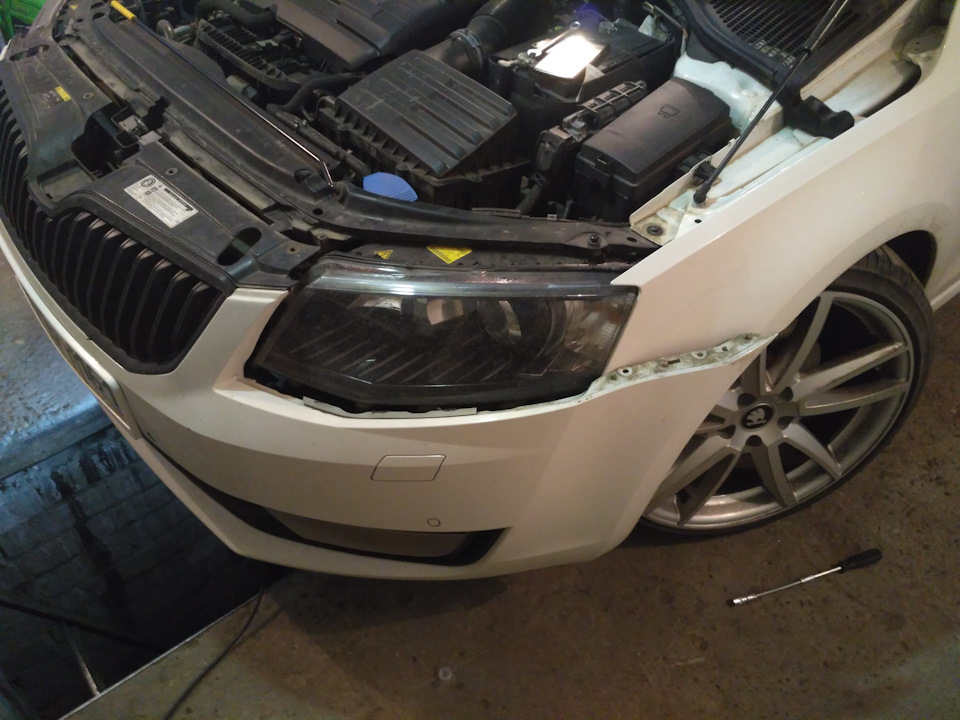 Куплю битую фару Октавия А7 ксенон — Сообщество «Skoda Octavia Club» на ...