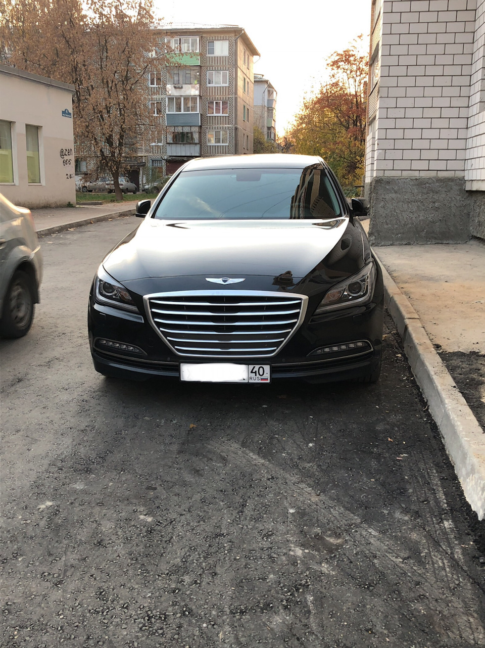 Перекинул номера вниз) — Hyundai Genesis (2G), 3 л, 2015 года | просто так  | DRIVE2