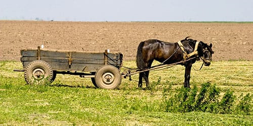 Скрипит, скрипит и ещё раз скрипит… Help! — Сообщество «Skoda Octavia ...