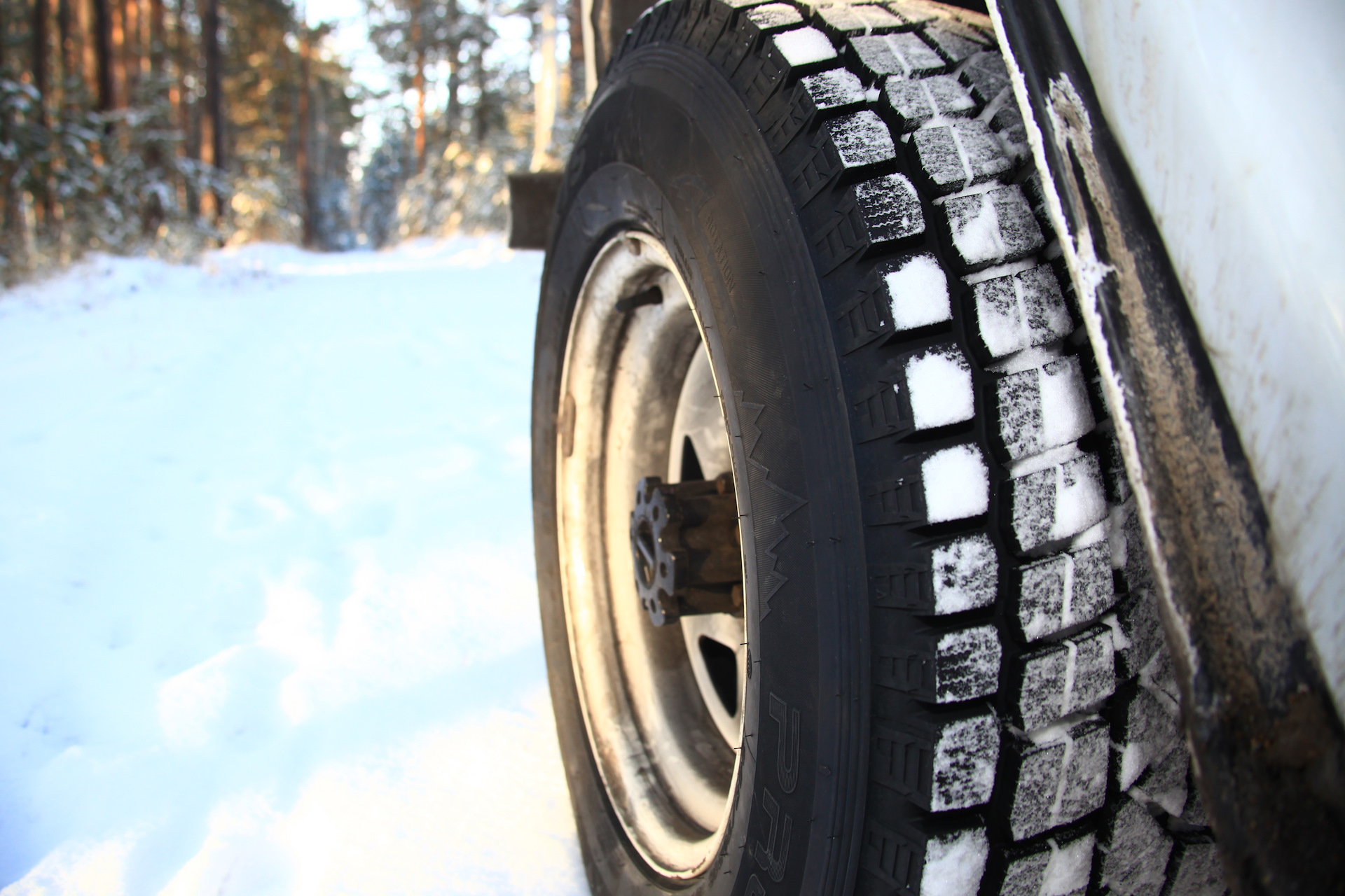 Maxxis зима