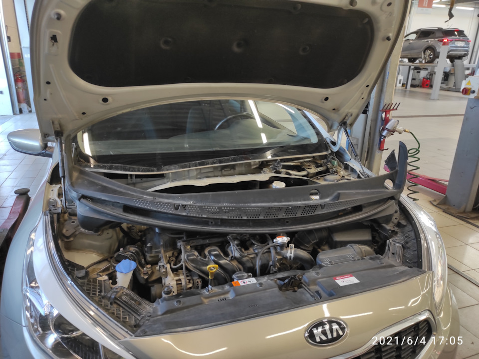 Снято жабо — KIA Ceed (2G)