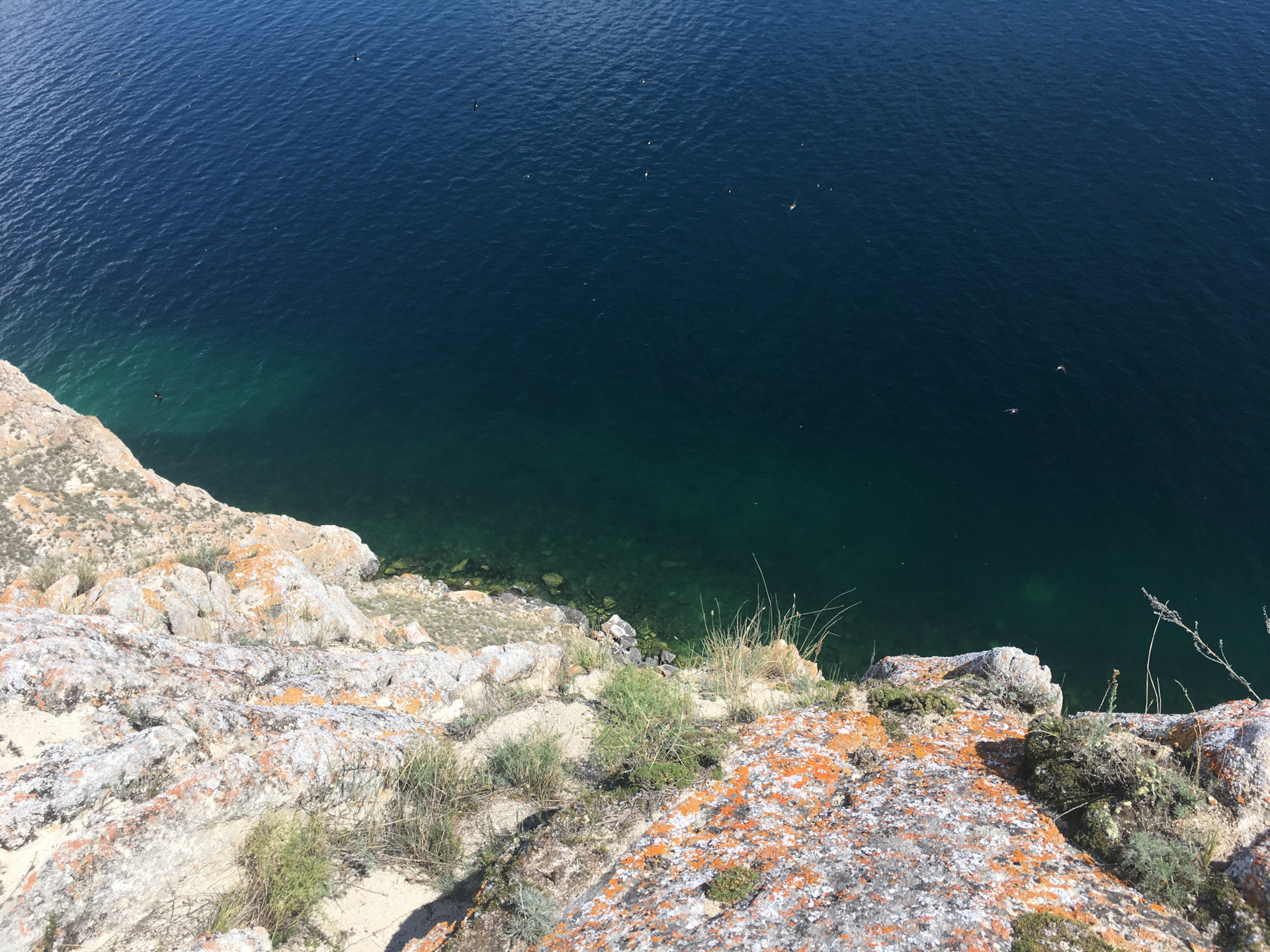 Хабаровск-Байкал 2020. Часть 3. Тажеранская степь. — Toyota 4Runner (V ...