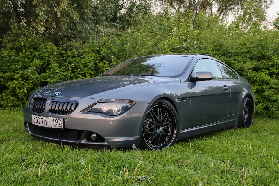 BMW 6 Series акула