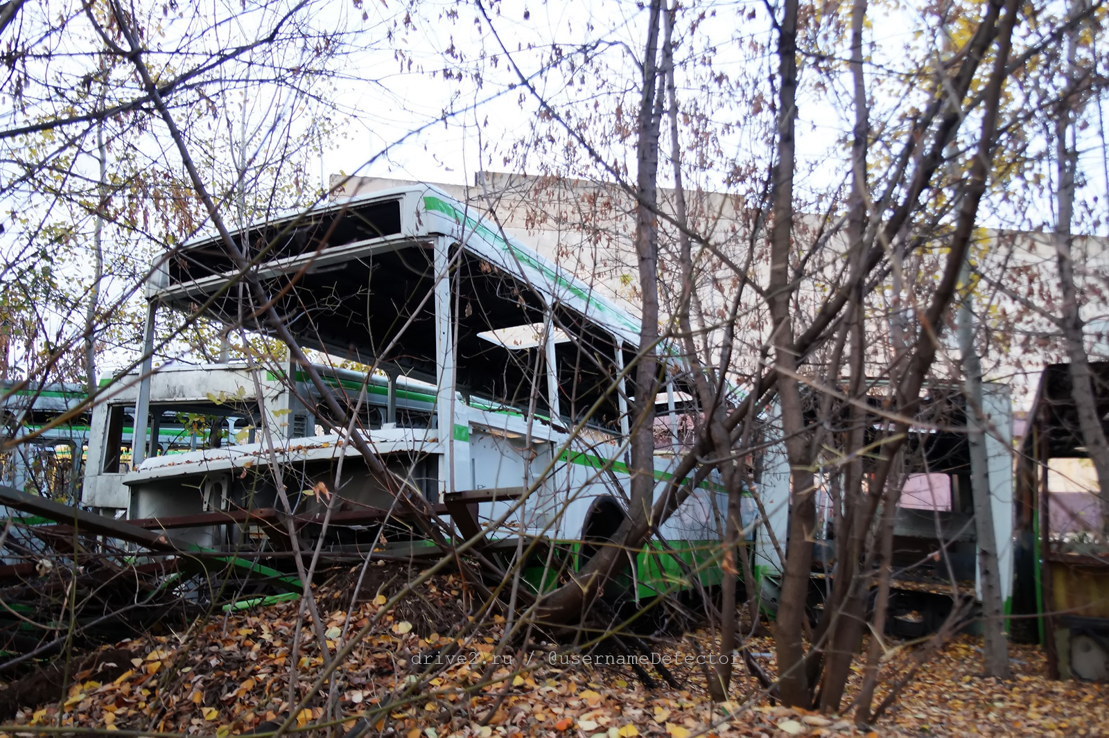 Пролетарка автобус. Рязанский Автобусный завод. Дубовичье Рязань автобус.