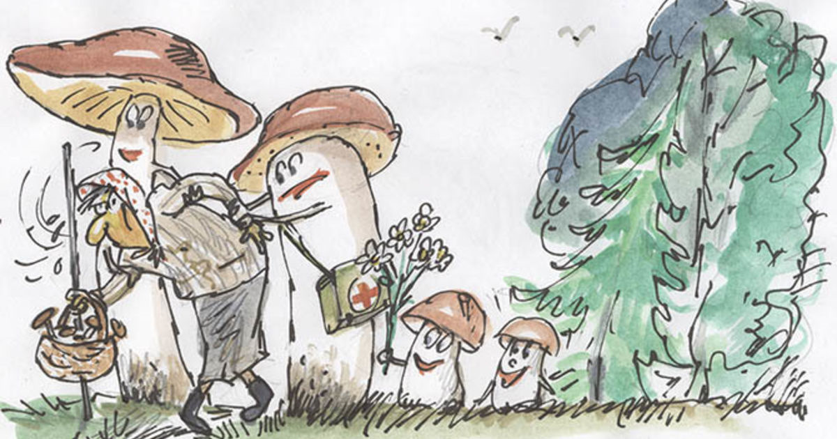 Кто куда а я за грибами 2024. Грибы иллюстрация. Веселый гриб. Смешные грибы. Гриб рисунок.