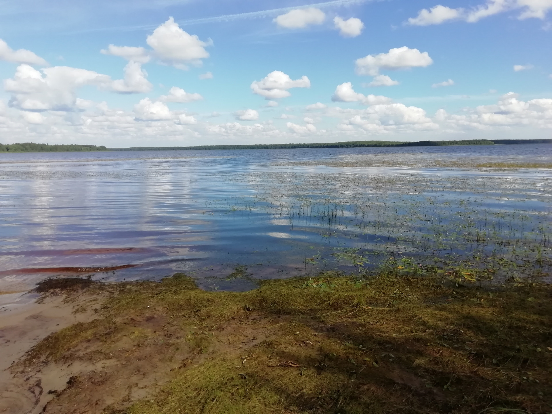 Озеро большой Ащикуль Шербакульский район