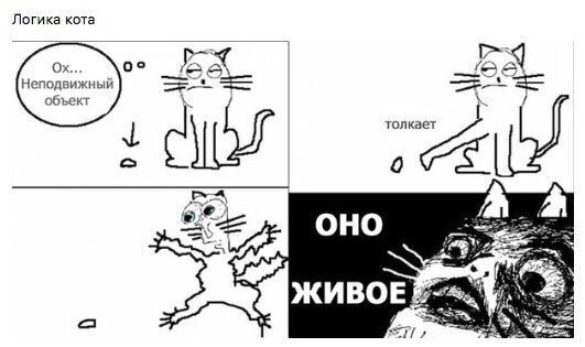 Мемы с котами сборник Мемы с котами сборник