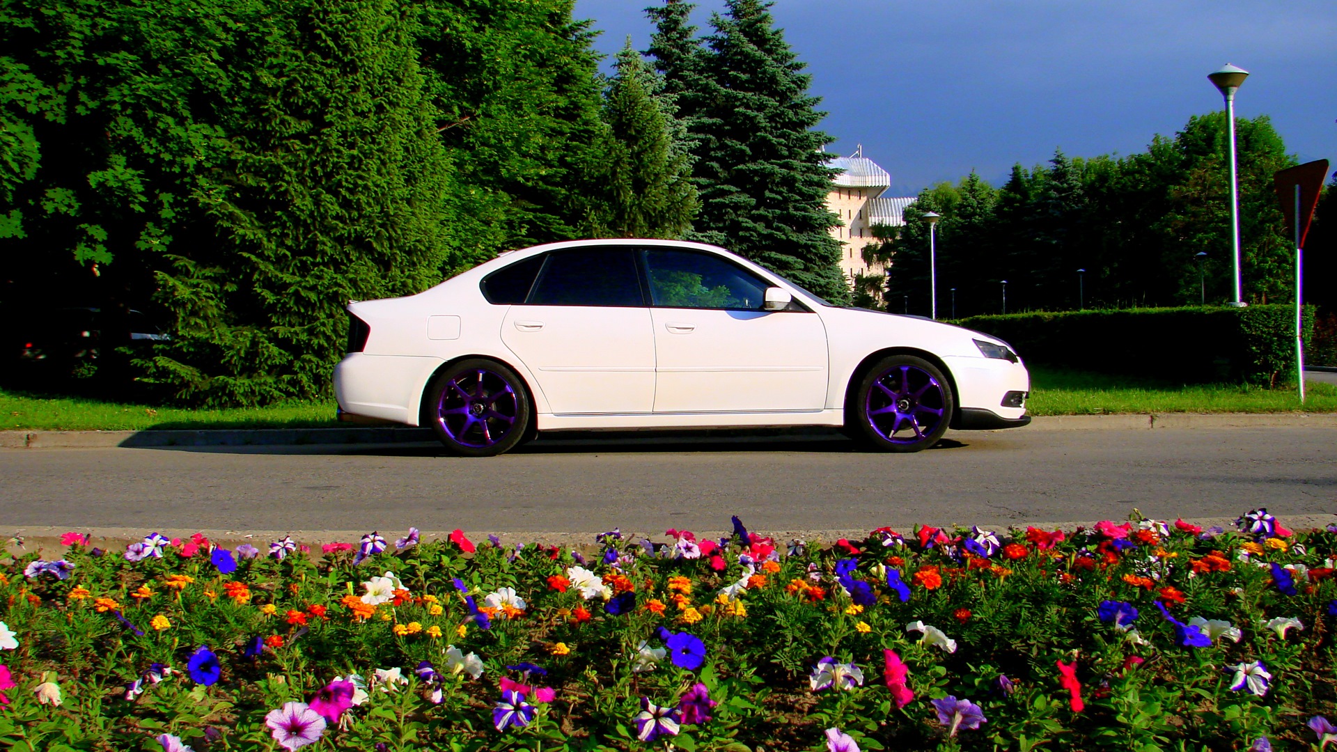 Белый цвет машины фото. Фиолетовые диски на белой машине. Машины (белая). Сиреневые диски на белой машине. Машина белого цвета.