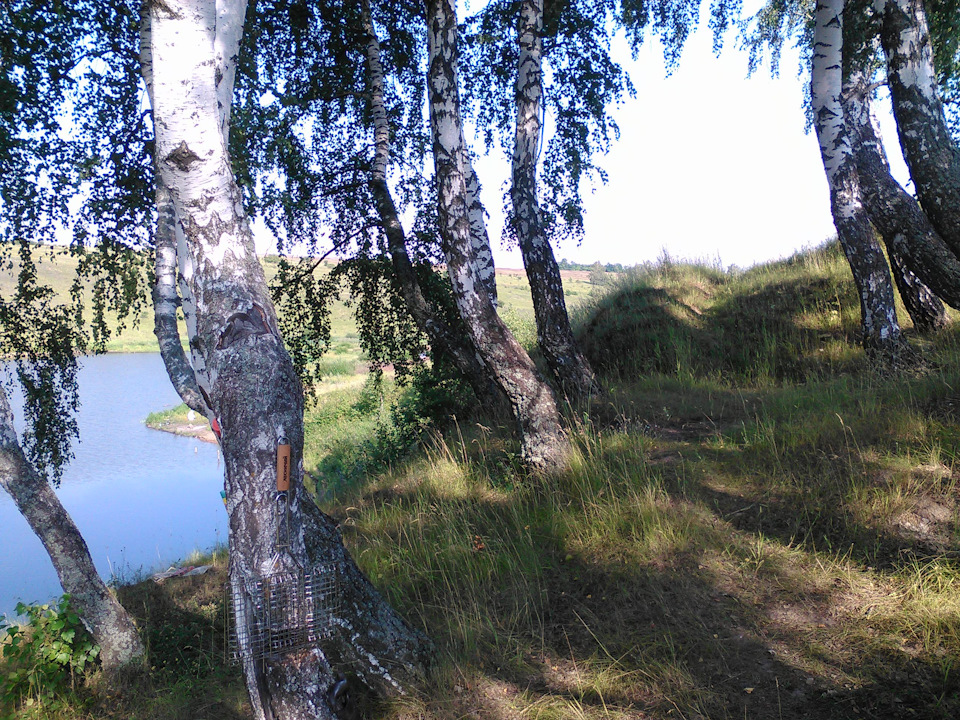 Очередная вылазка на природу))))) — DRIVE2