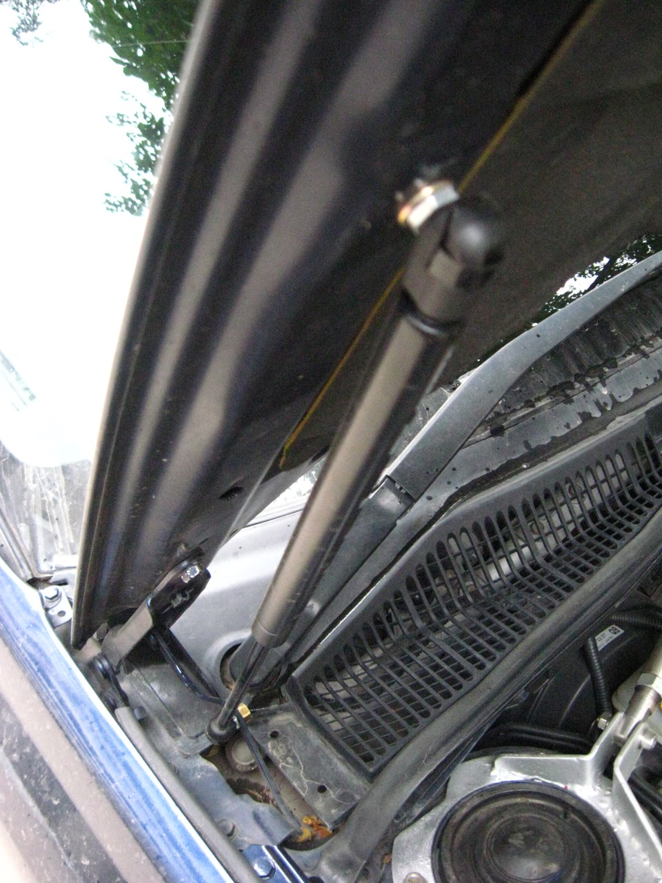 Пневмо упоры капота — Subaru B4 (BL), 2 л, 2003 года | тюнинг | DRIVE2