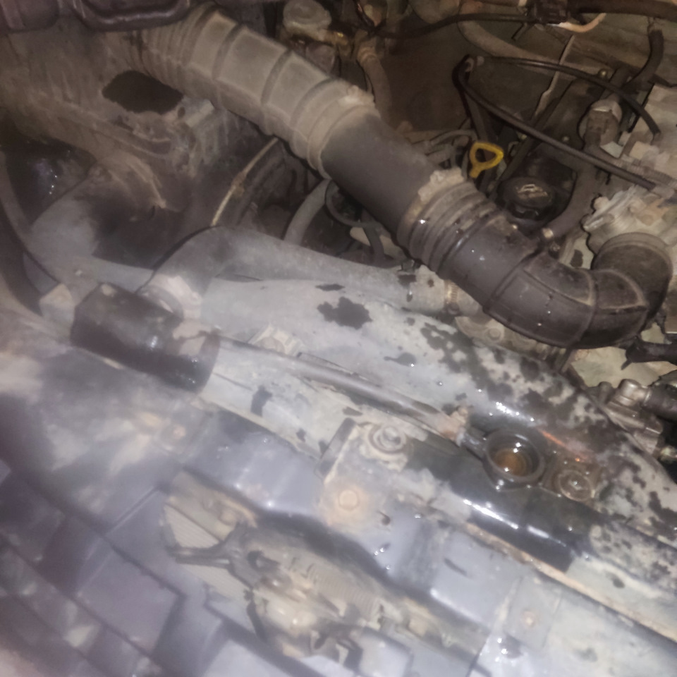 Опять двадцать пять, лопнул нижний патрубок. — Great Wall Wingle 5, 2,2 ...