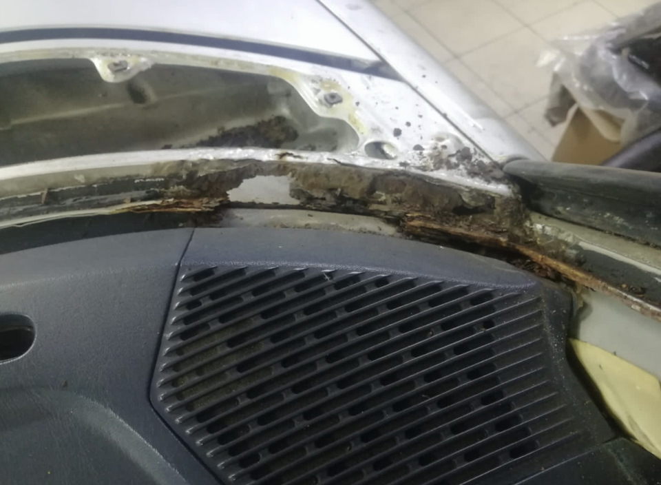 Фото в бортжурнале Mercedes-Benz W123