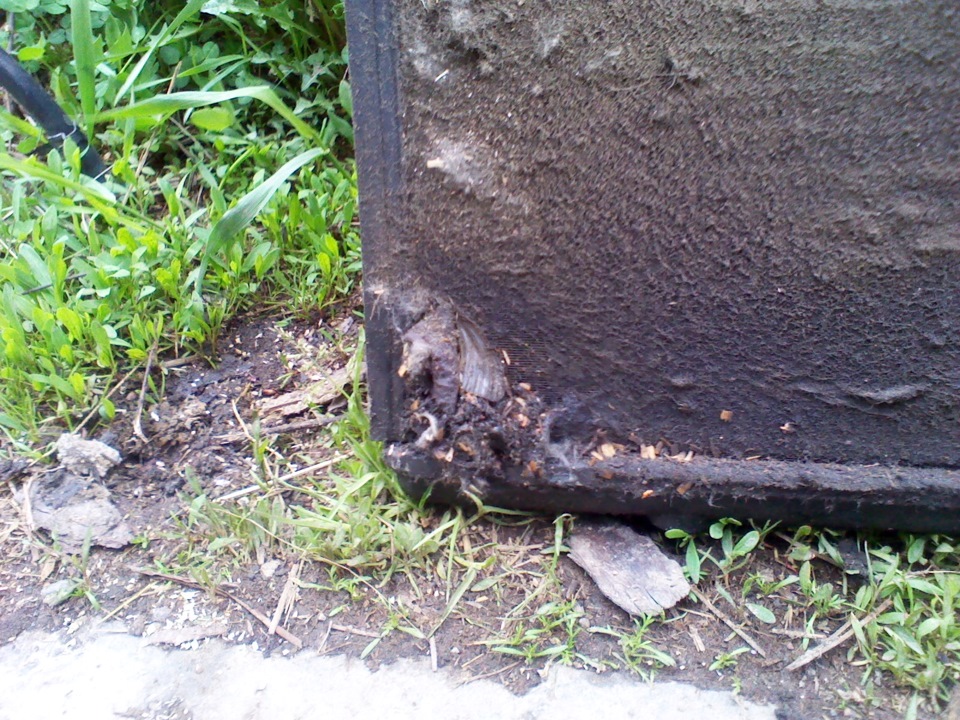 Пыжа греется! — Peugeot 206, 1,6 л, 2000 года | своими руками | DRIVE2