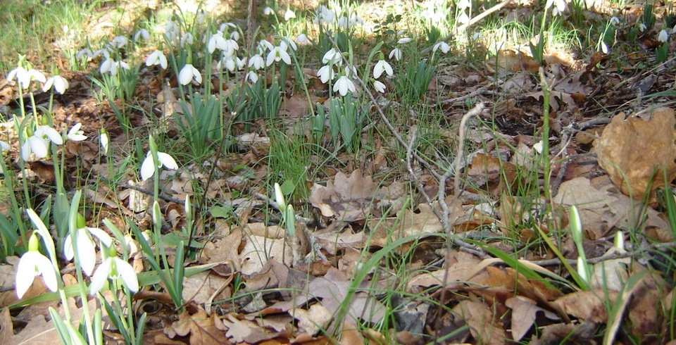 Фото в бортжурнале Volkswagen Polo Sedan