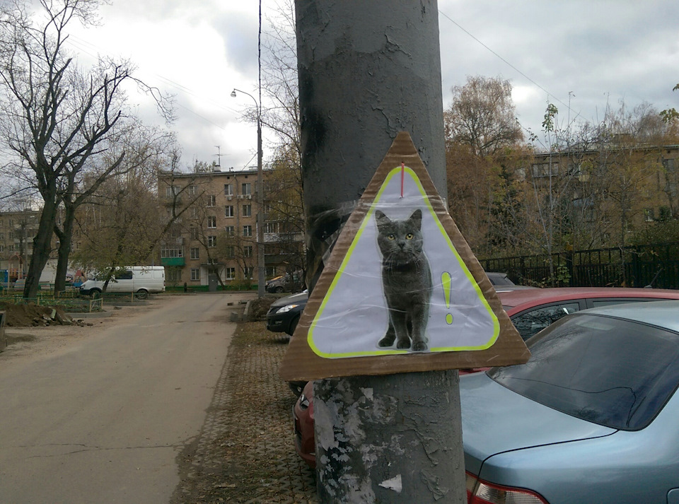 Осторожно Котэ.Новый дорожный знак!))) — DRIVE2