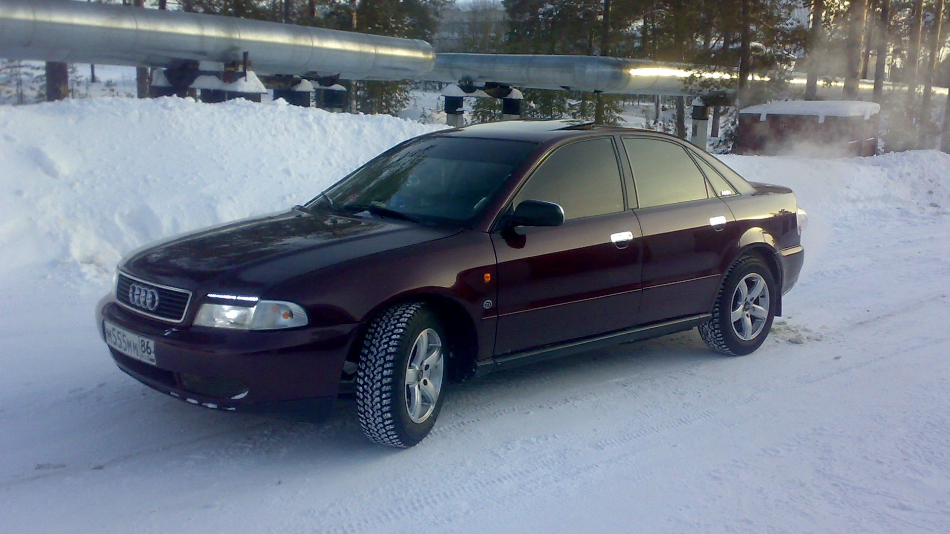 Audi a4 drive2