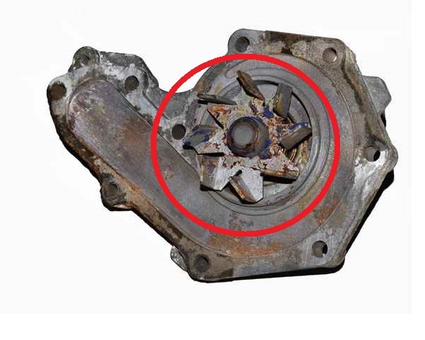 какая крыльчатка самая эффективная. Смотреть фото какая крыльчатка самая эффективная. Смотреть картинку какая крыльчатка самая эффективная. Картинка про какая крыльчатка самая эффективная. Фото какая крыльчатка самая эффективная какая крыльчатка самая эффективная. Смотреть фото какая крыльчатка самая эффективная. Смотреть картинку какая крыльчатка самая эффективная. Картинка про какая крыльчатка самая эффективная. Фото какая крыльчатка самая эффективная